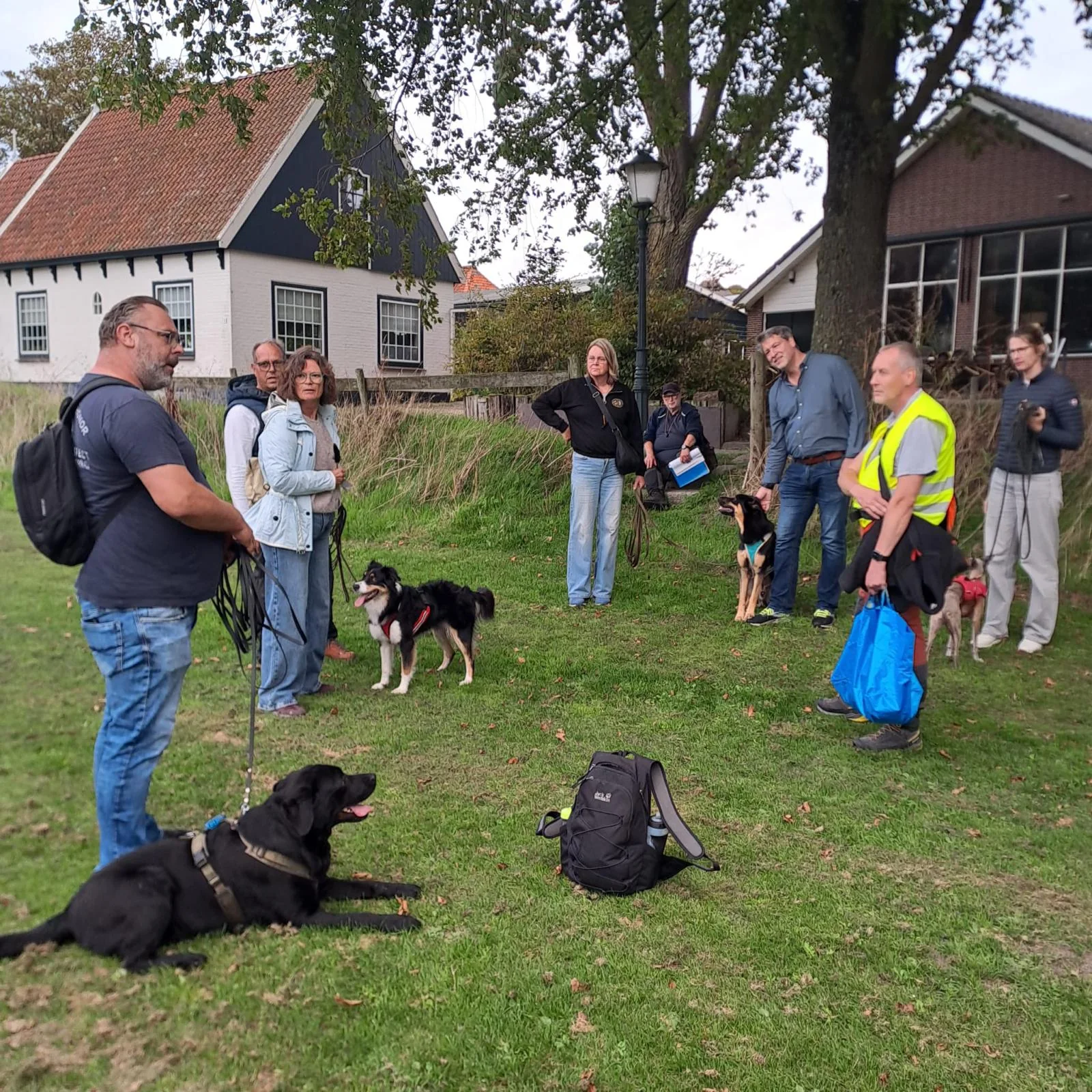 Einblick in den Alltag und das Training der Fellnasen – Bild 9