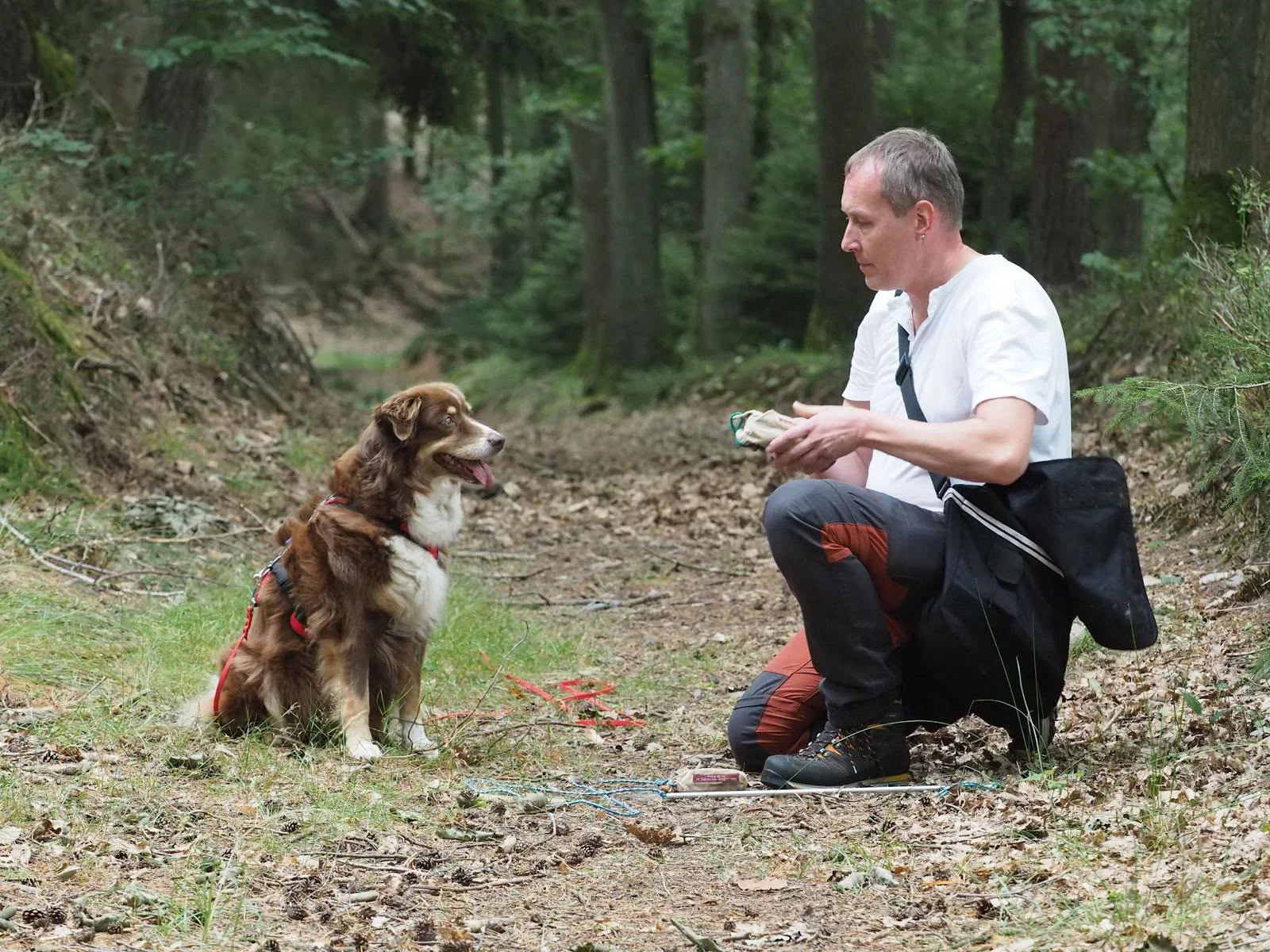 Ralf beim Training mit einem Hund im Wald